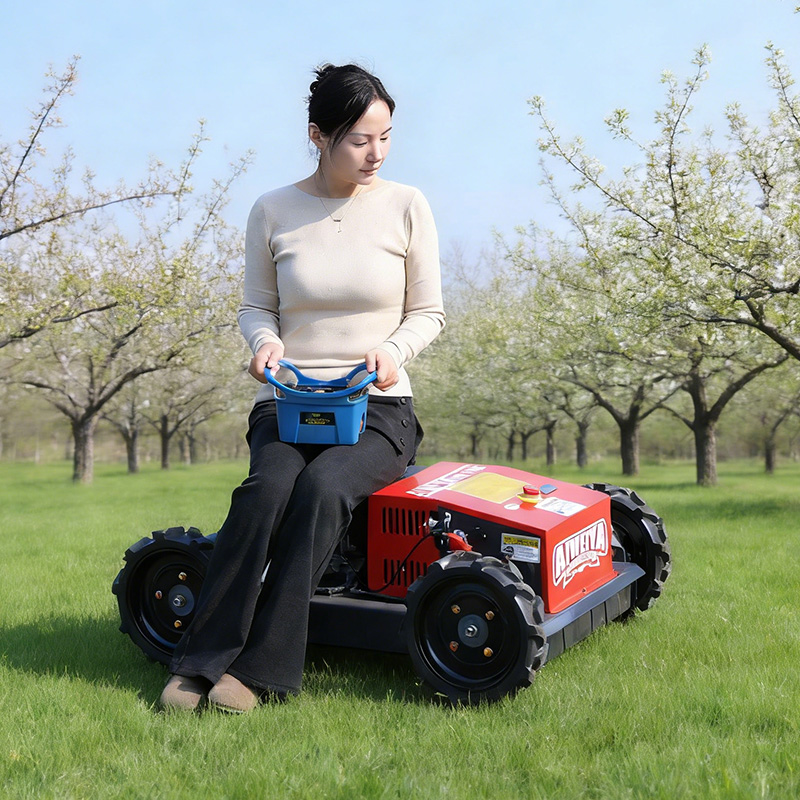 Customized Factory Remote Cont - огляд і ціна Hedge Trimmer Cordless