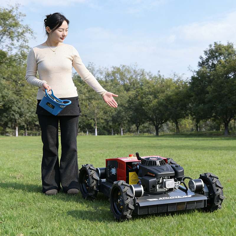 Customized all terrain four-wh - огляд і ціна Hedge Trimmer Cordless